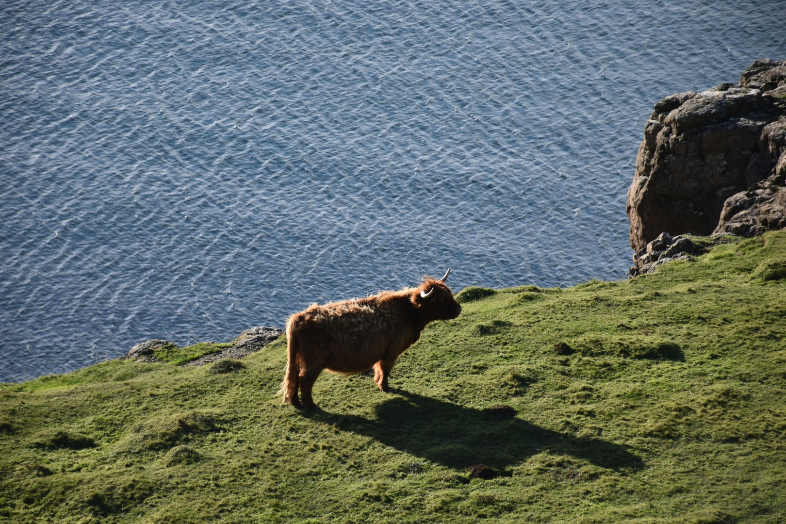  Photo Credit: Photo by Arno Senoner on Unsplash