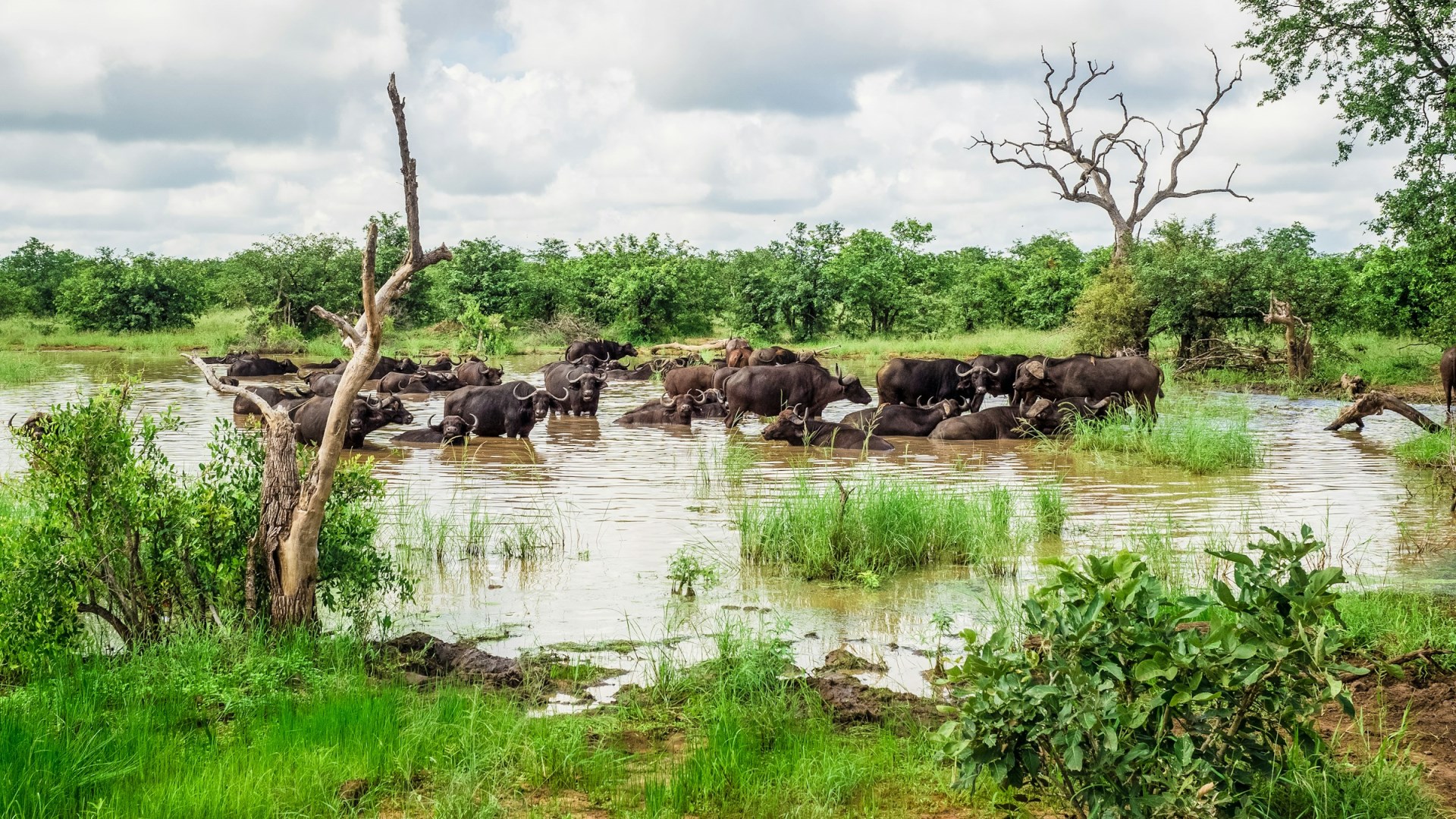  Photo Credit: Photo by Ante Hamersmit on Unsplash