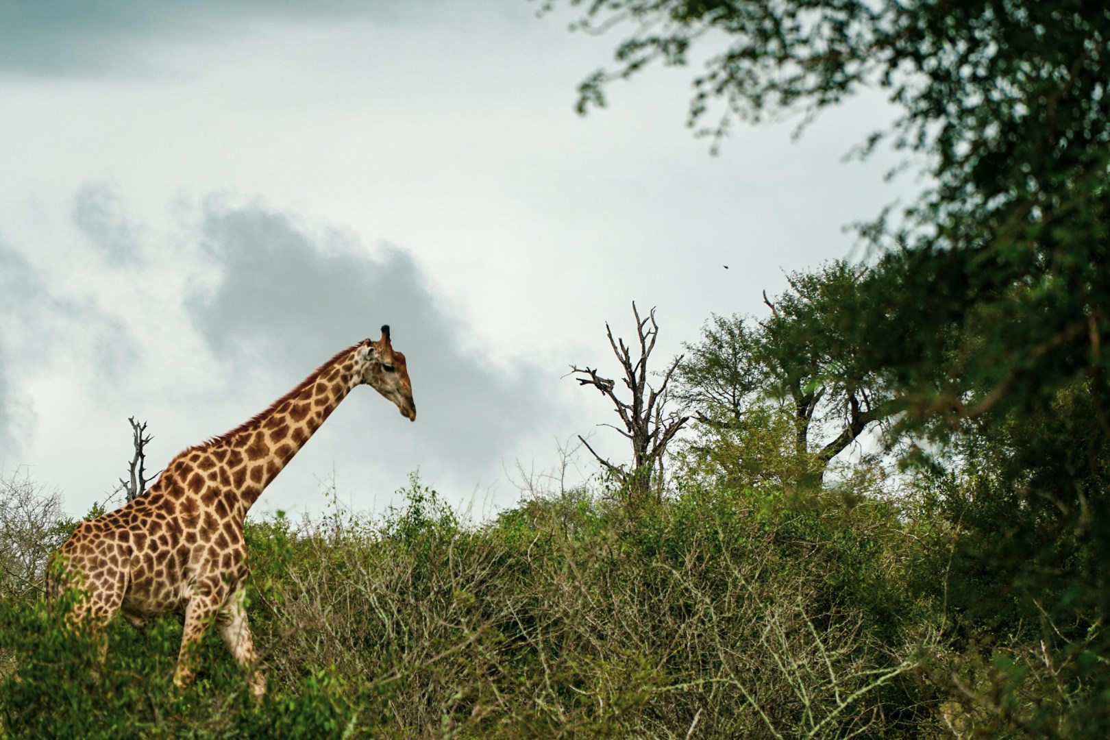  Photo Credit: Photo by James Rathmell on Unsplash