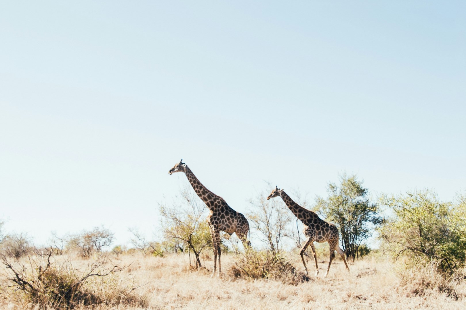 Photo Credit: Photo by Tobin Rogers on Unsplash
