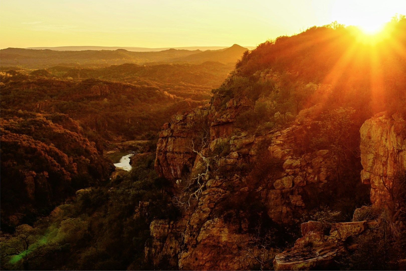 Lanner Gorge - Photo Credit: Photo by Leon Pauleikhoff on Unsplash