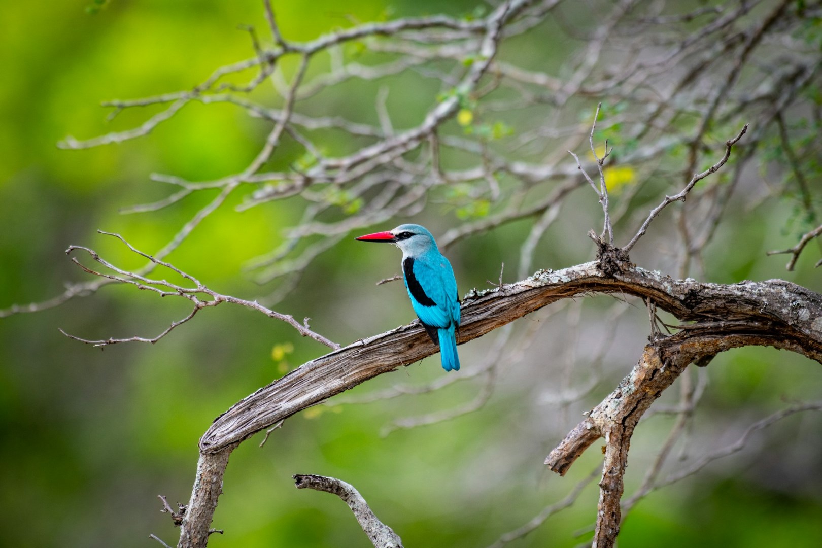  Photo Credit: Photo by Jochen van Wylick on Unsplash
