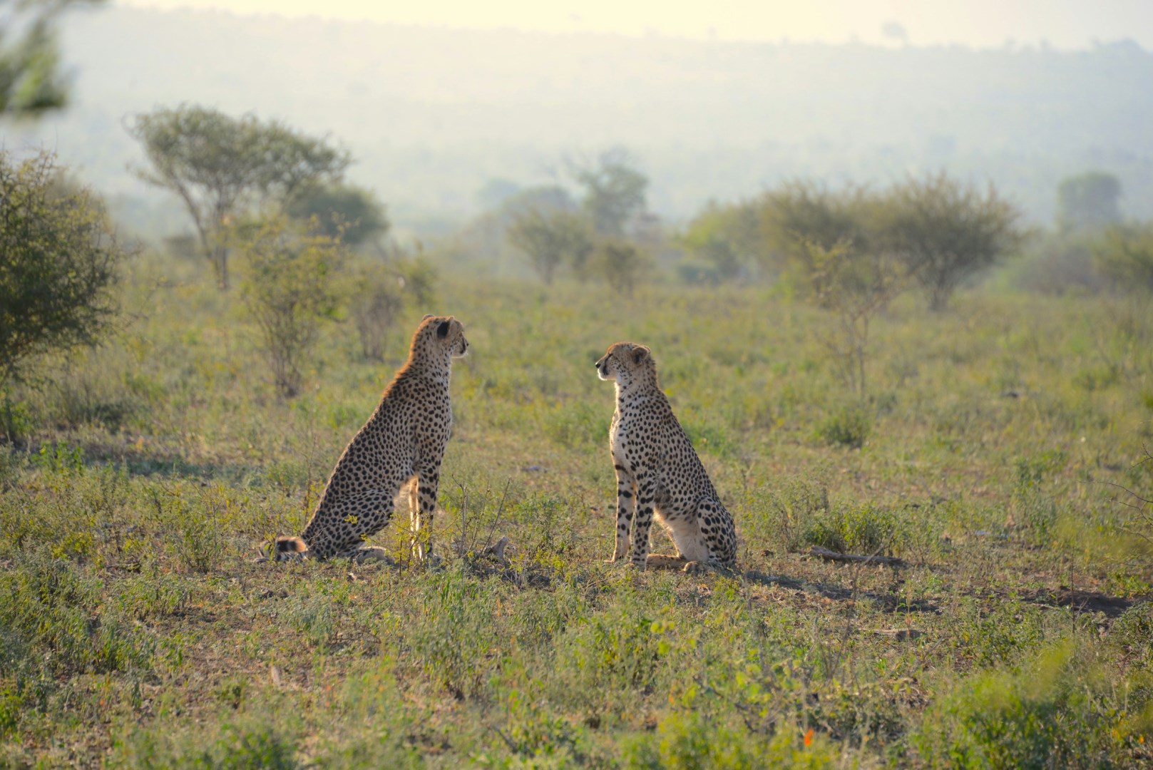  Photo Credit: Photo by Yolande Conradie on Unsplash