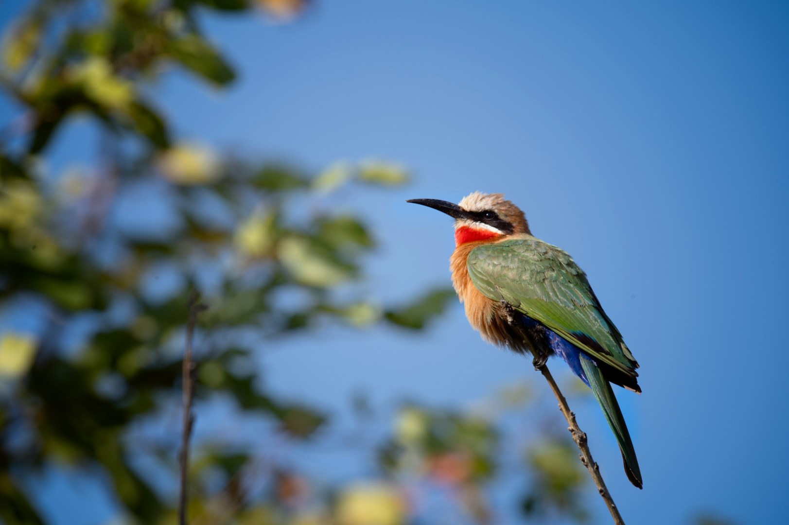  Photo Credit: Photo by Doretha Rost on Unsplash