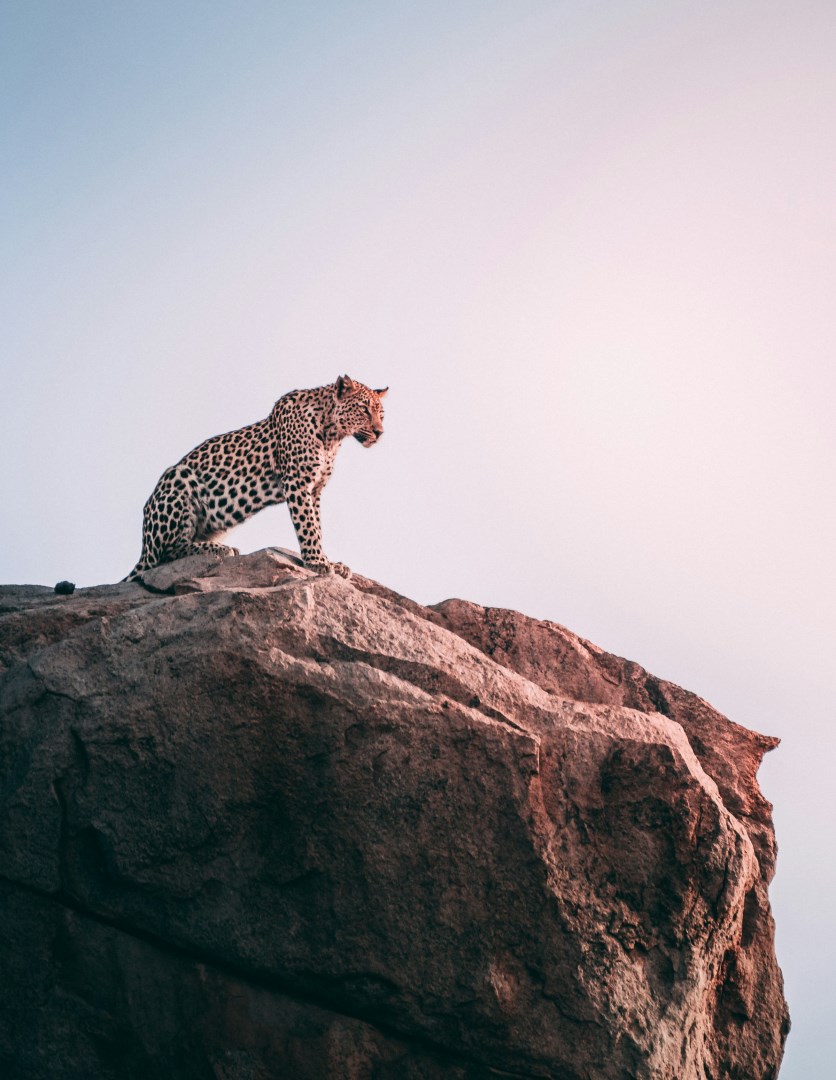  Photo Credit: Photo by Geranimo on Unsplash