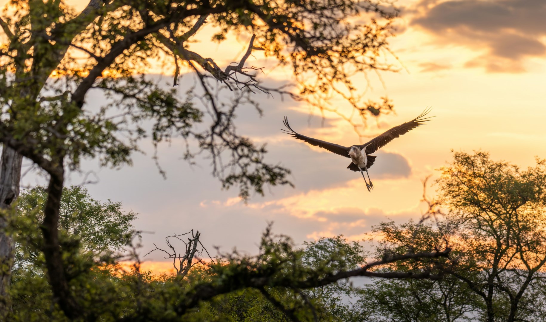  Photo Credit: Photo by redcharlie on Unsplash