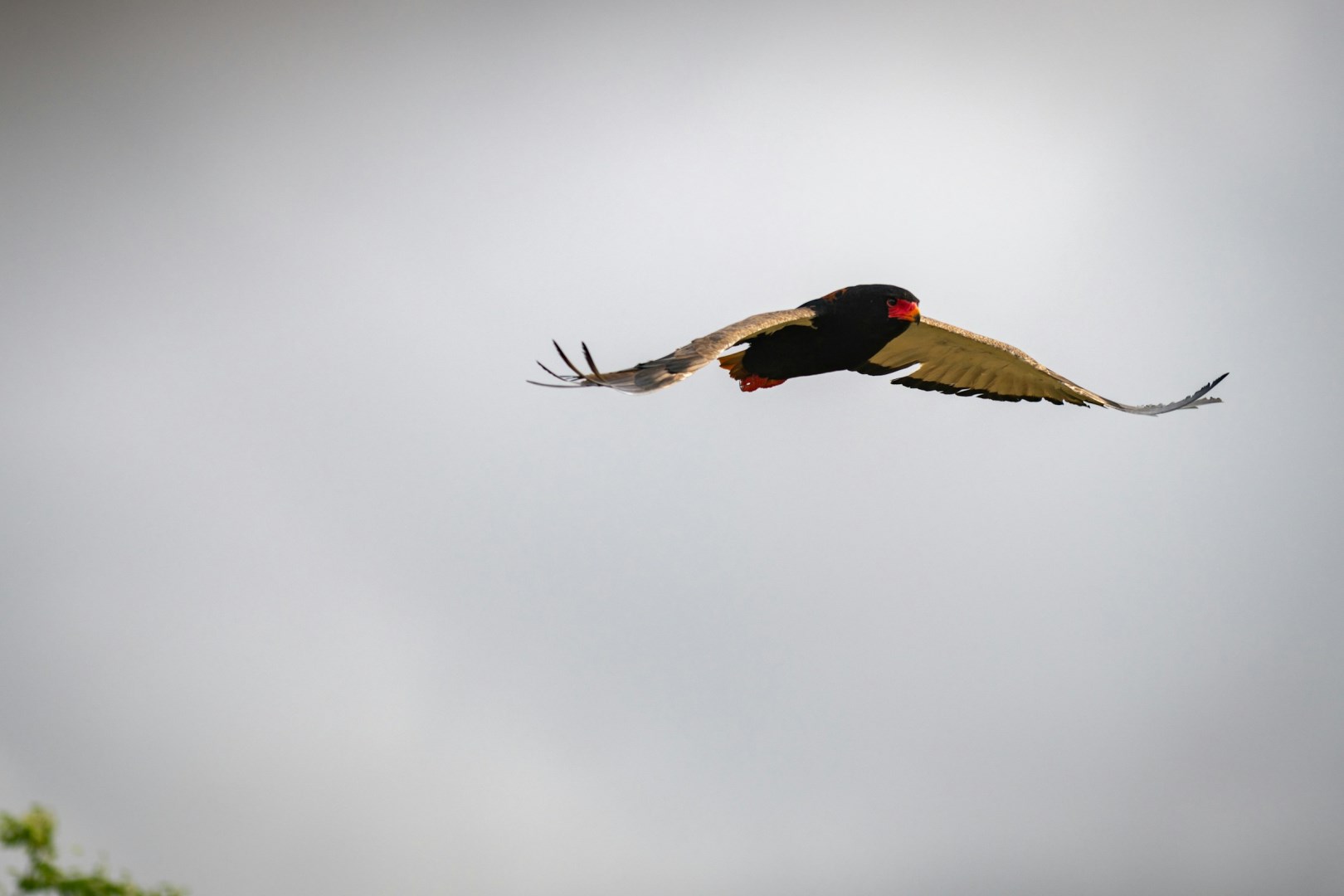  Photo Credit: Photo by Jochen van Wylick on Unsplash