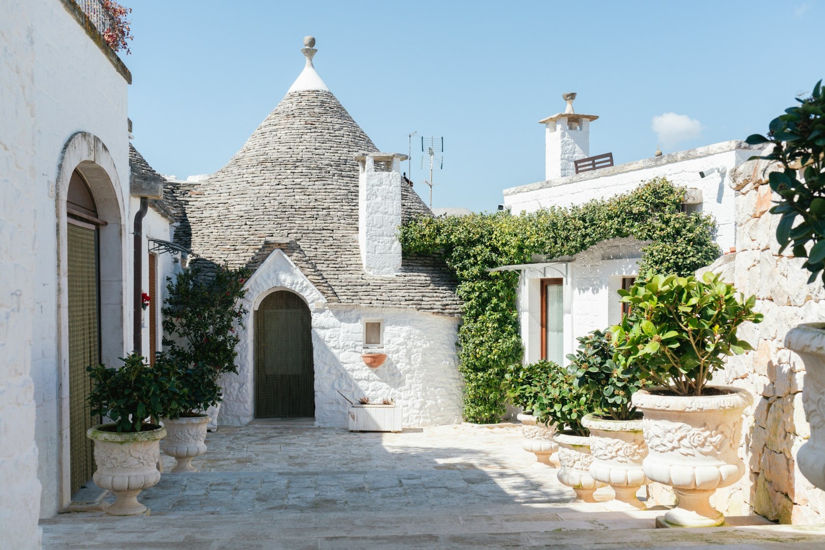  Photo Credit: Photo by Max Böhme on Unsplash