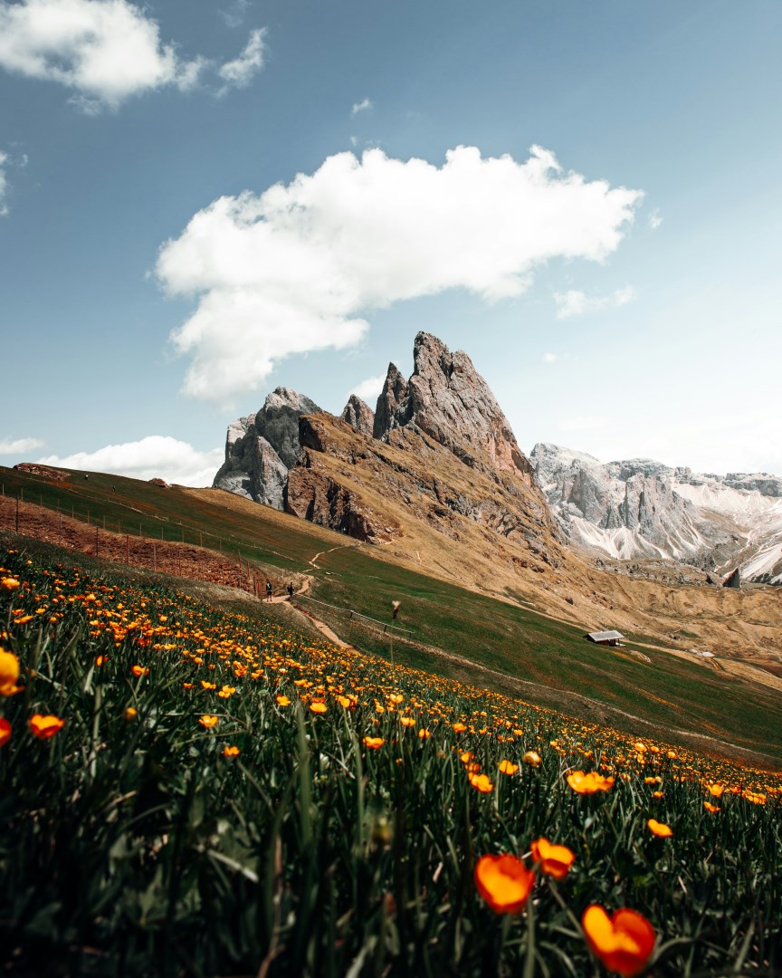 Seceda - Photo Credit: Photo by Daniel J. Schwarz on Unsplash