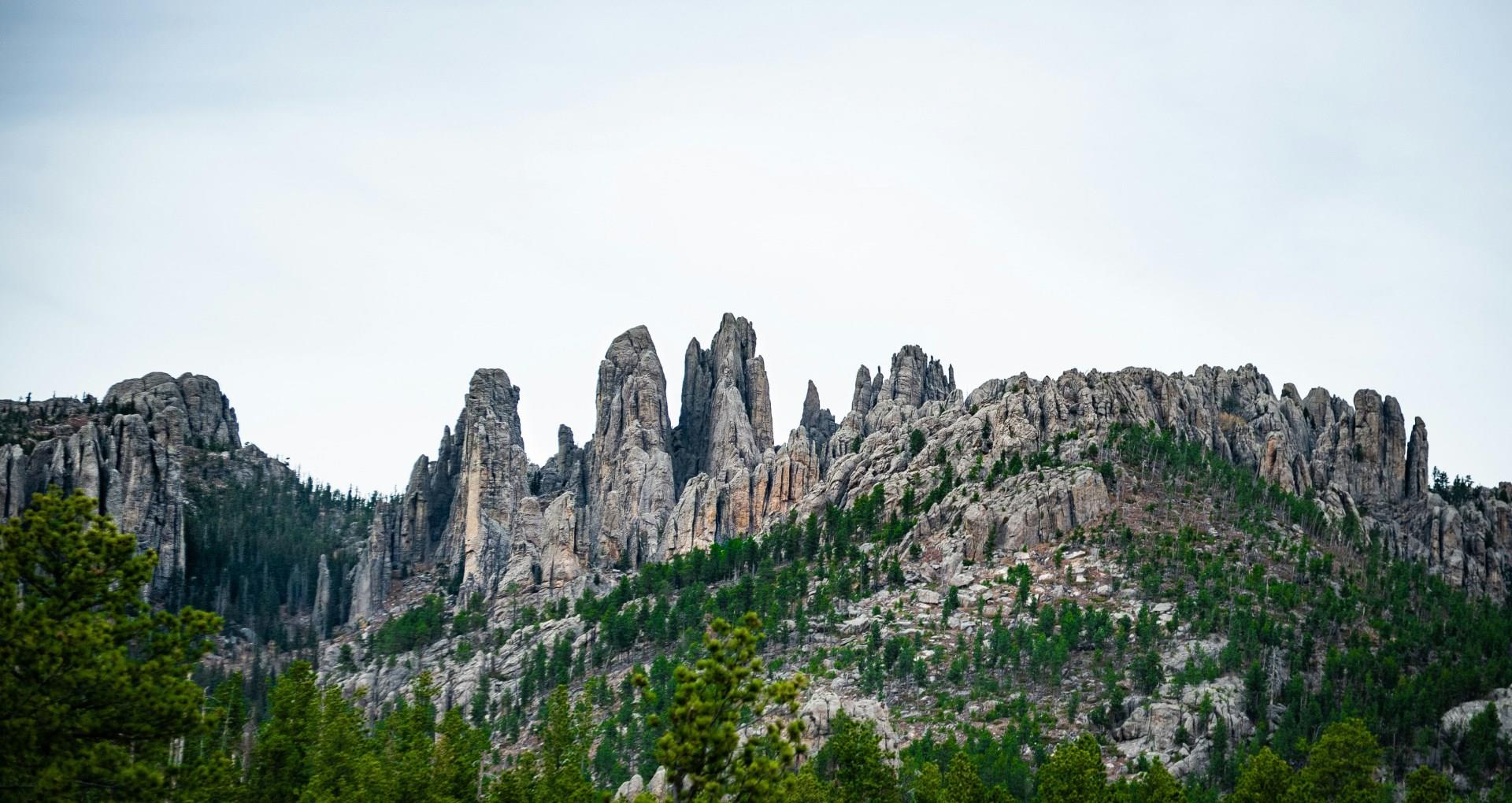 Custer State Park