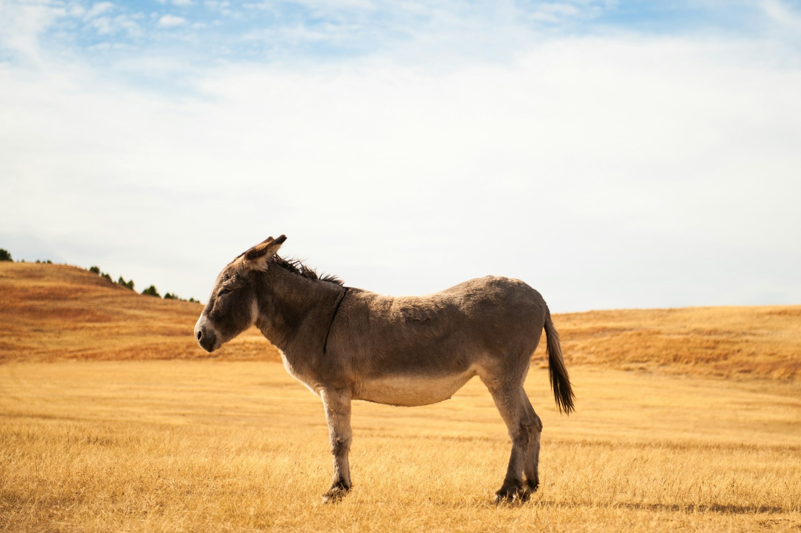  Photo Credit: Photo by Jack Hishmeh on Unsplash
