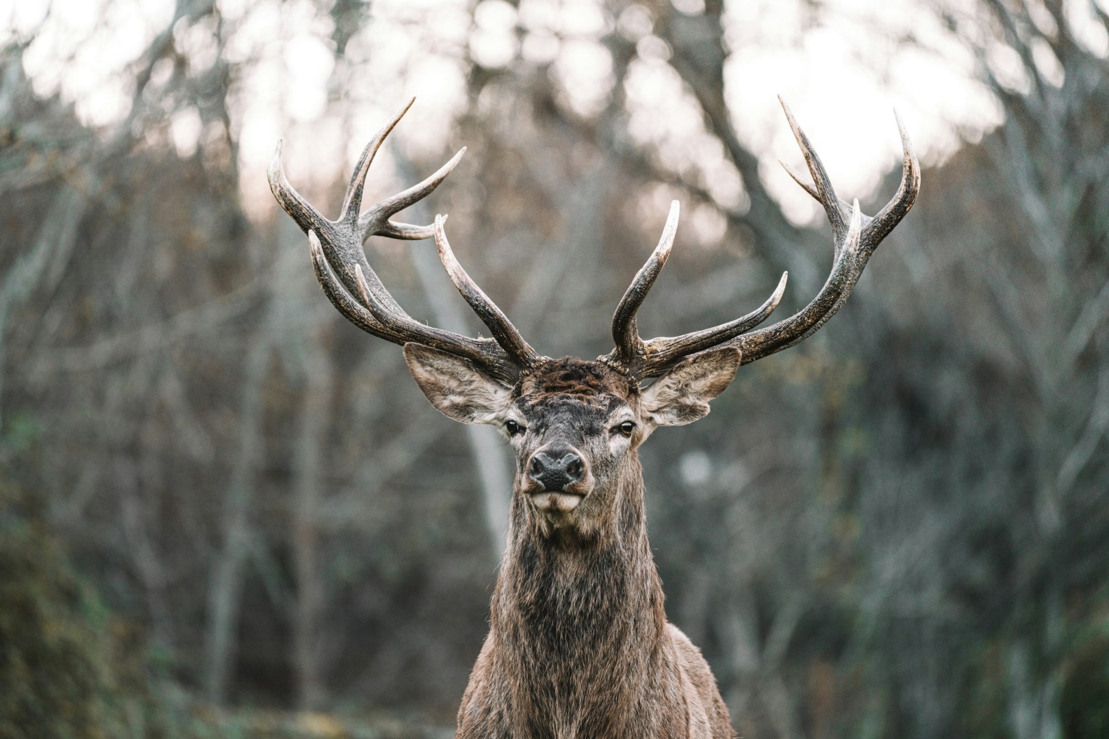  Photo Credit: Photo by Federico Di Dio photography on Un