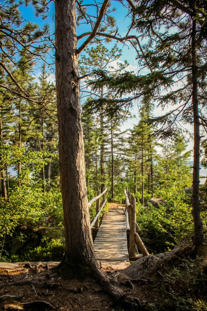  Photo Credit: Photo by Louis Renaudineau on Unsplash