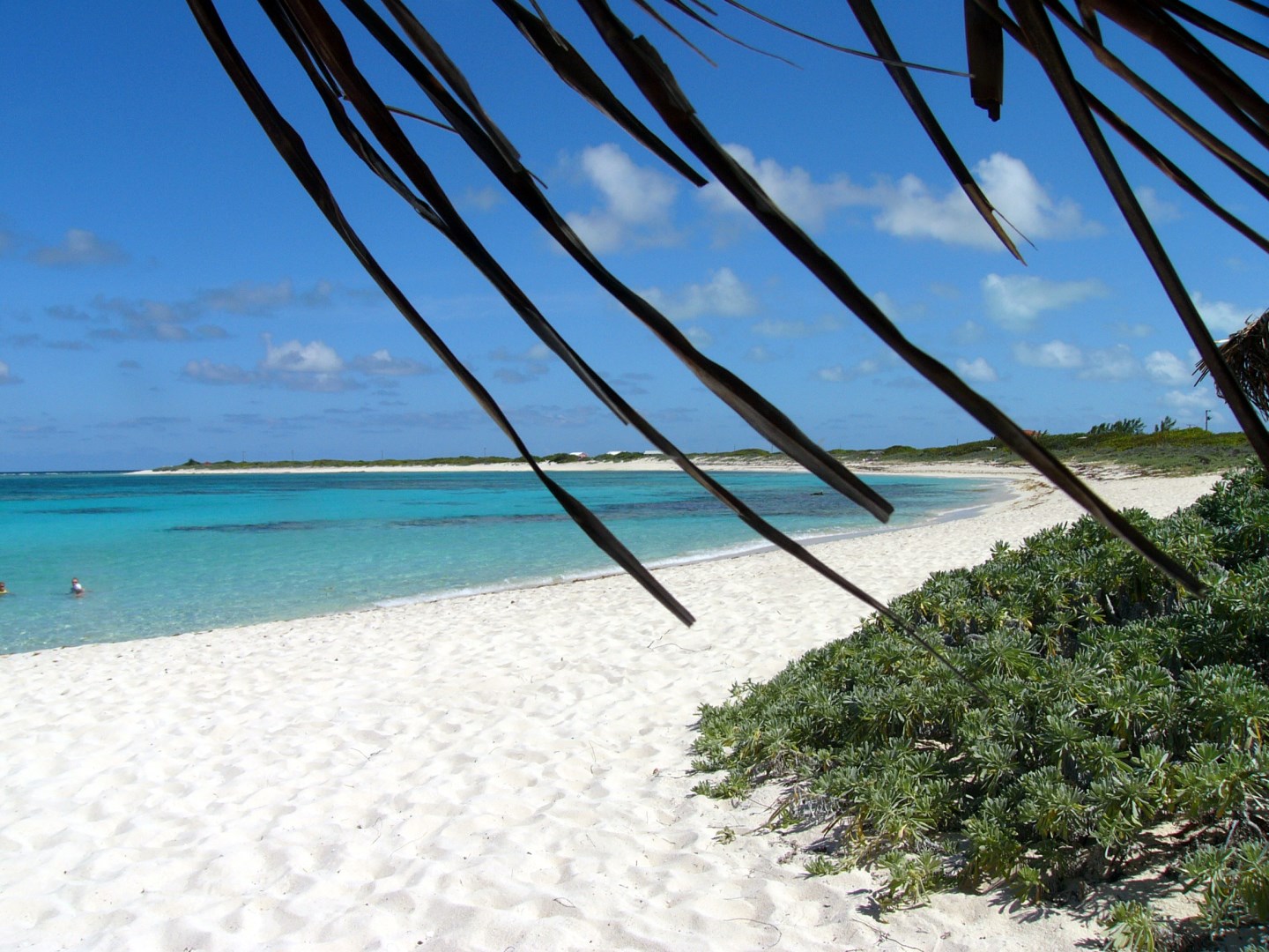 Loblolly Beach - Photo Credit: Photo by Kathleen Tyler Conklin from Wikimedia