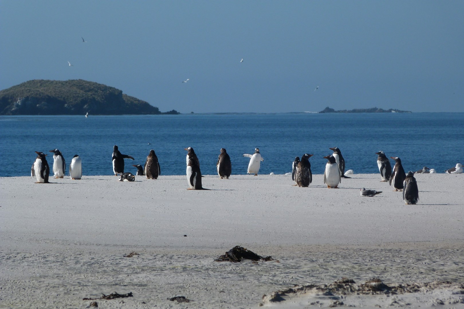Yorke Bay - Photo Credit: Photo by Megan Rose Monkman on Unsplash