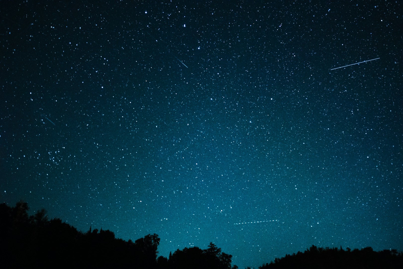  Photo Credit: Photo by Oscar Ham on Unsplash