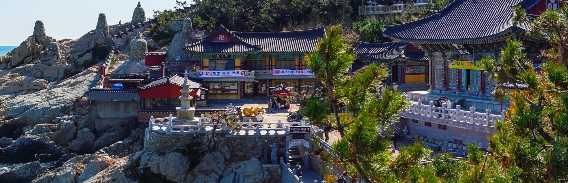  Photo Credit: Photo by (っ◔◡◔)っ Clement 🇰🇷 on Unsplash