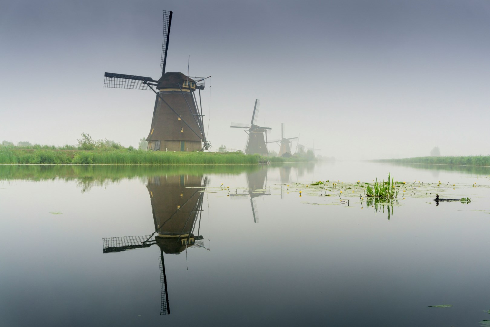 Photo Credit: Photo by Stephan Widua on Unsplash