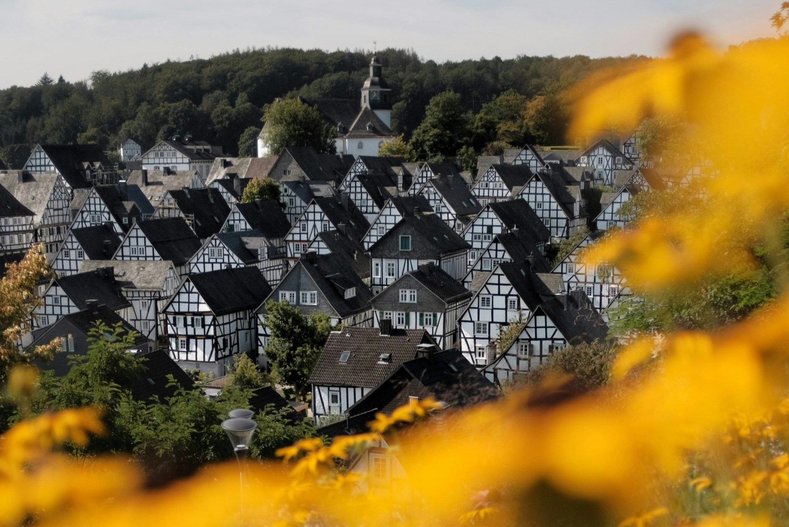 Freudenberg