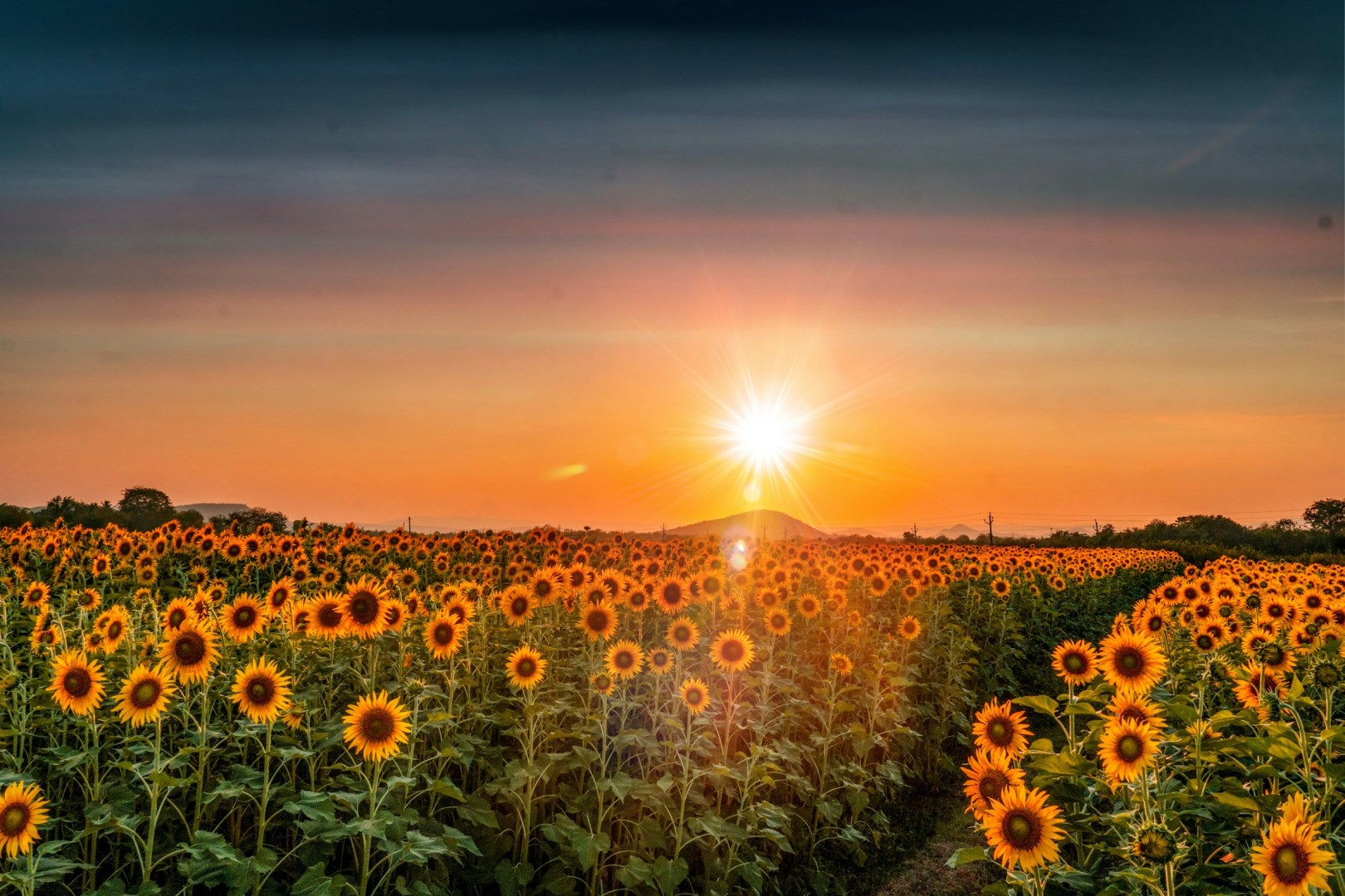  Photo Credit: Photo by rehan shaik on Unsplash