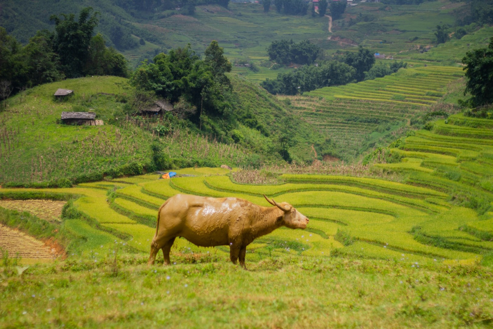  Photo Credit: Photo by Kimia on Unsplash