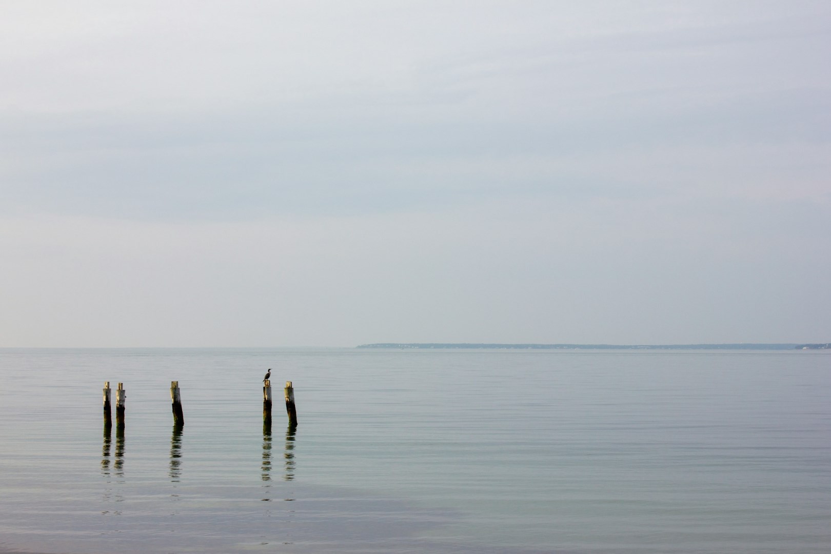  Photo Credit: Photo by Susan Jones on Unsplash