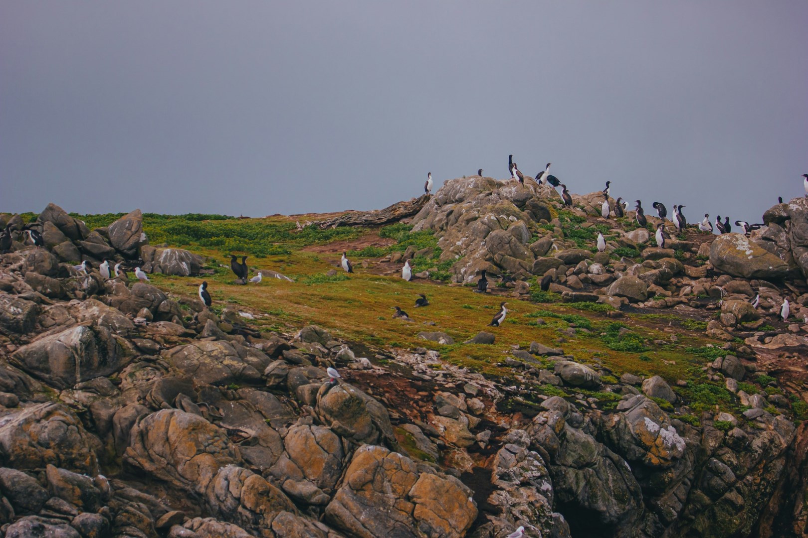  Photo Credit: Photo by Katelyn G on Unsplash