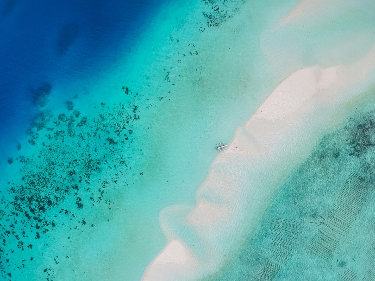  Photo Credit: Photo by Cris Tagupa on Unsplash