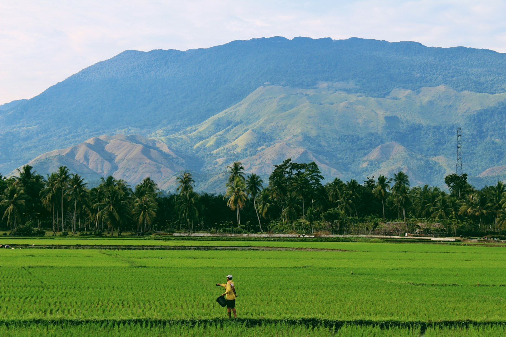  Photo Credit: Photo by Sandy Zebua on Unsplash