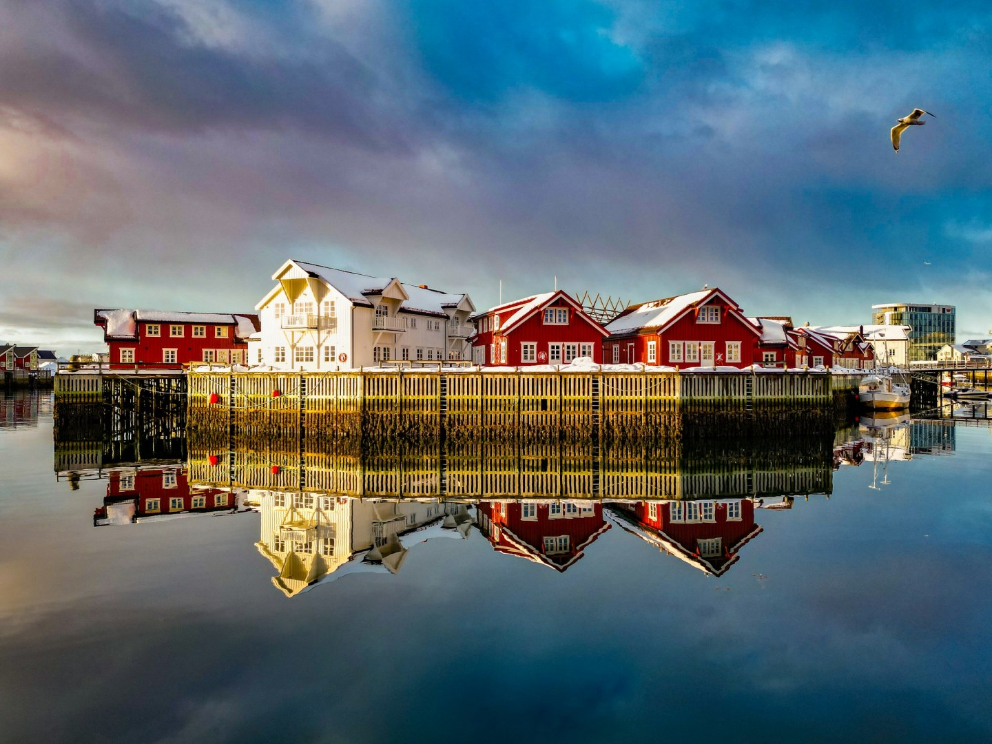  Photo Credit: Photo by Daniel Diemer on Unsplash