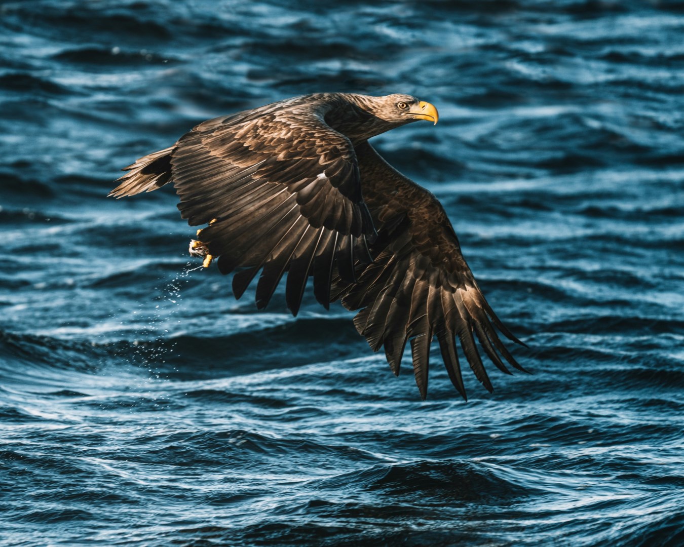  Photo Credit: Photo by Federico Di Dio photography on Unsplash
