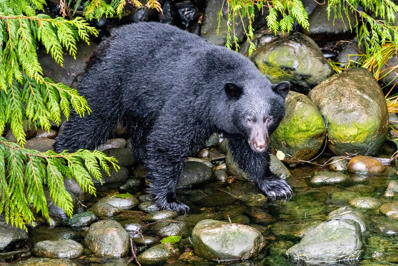  Photo Credit: Photo by Sergey Pesterev on Unsplash