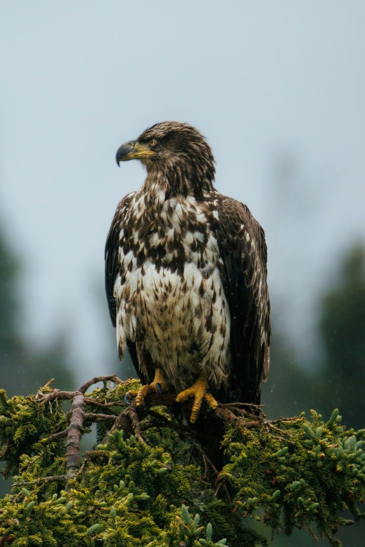  Photo Credit: Photo by Cal Rollins on Unsplash