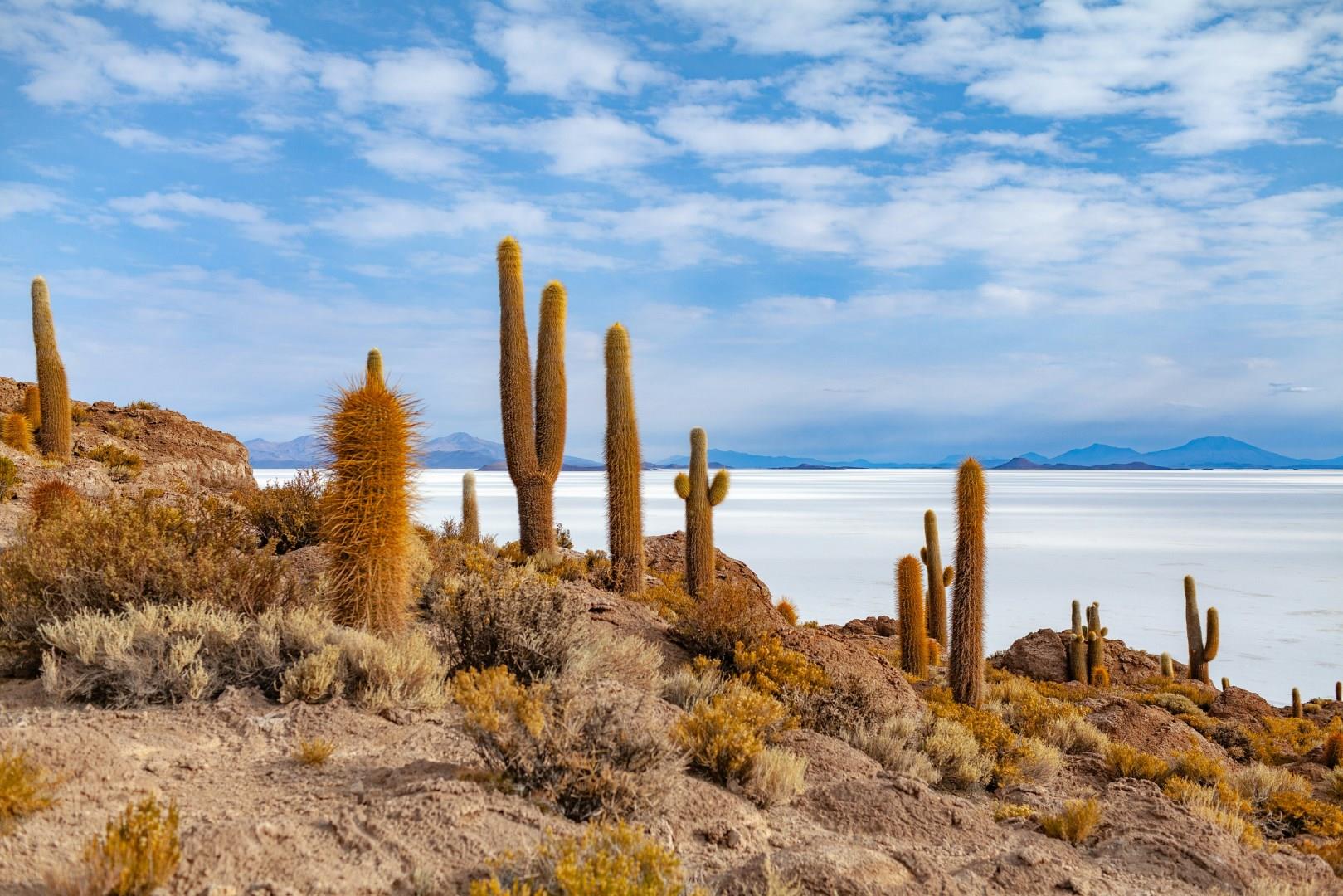 Uyuni