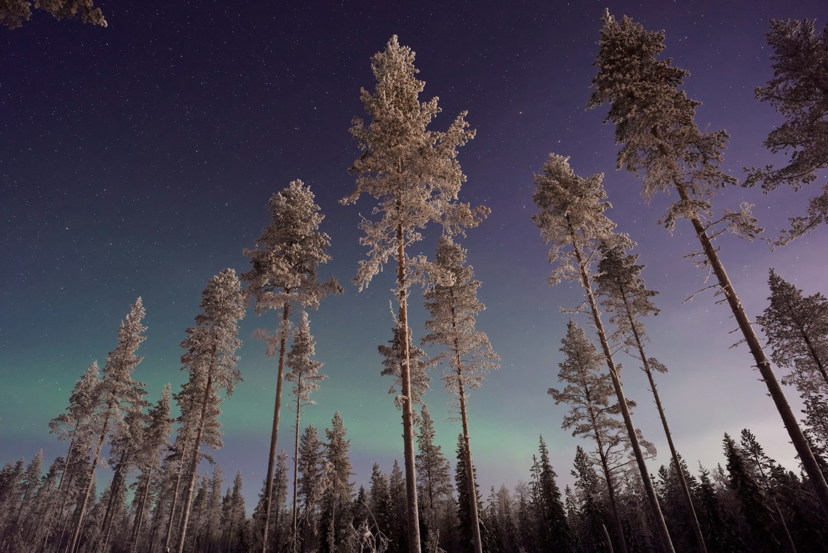  Photo Credit: Photo by Vincent Guth on Unsplash