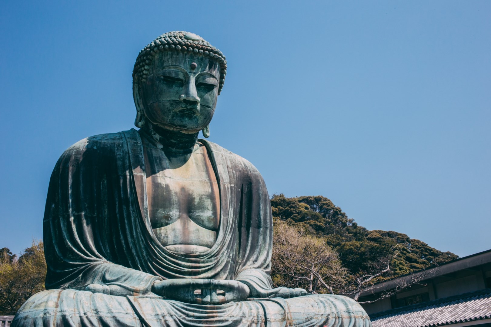  Photo Credit: Photo by charlesdeluvio on Unsplash