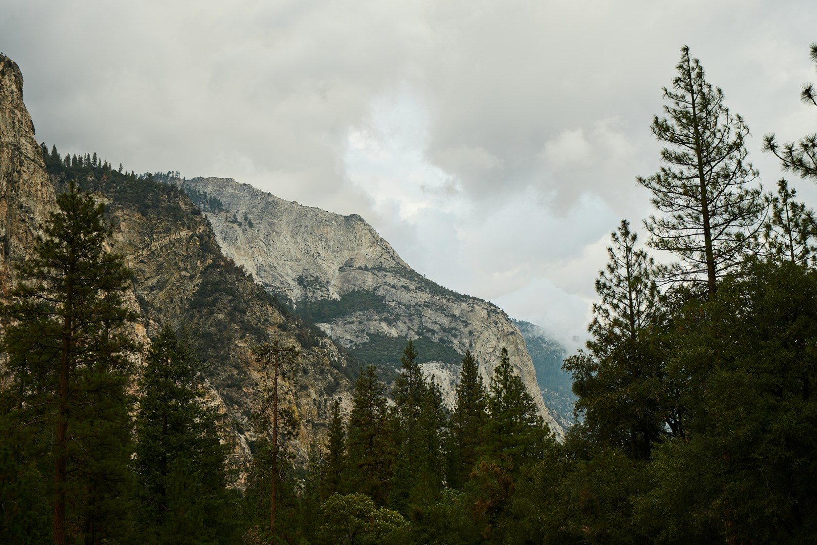 Kings Canyon National Park