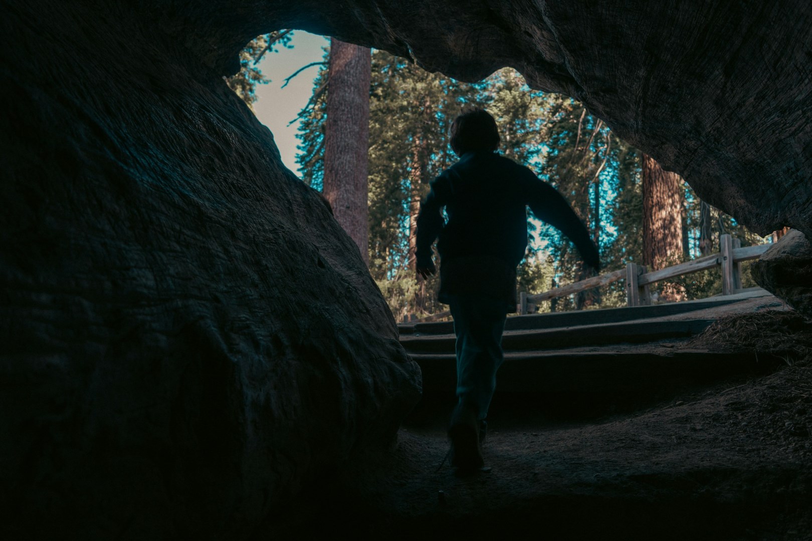  Photo Credit: Photo by Fabio Sasso on Unsplash