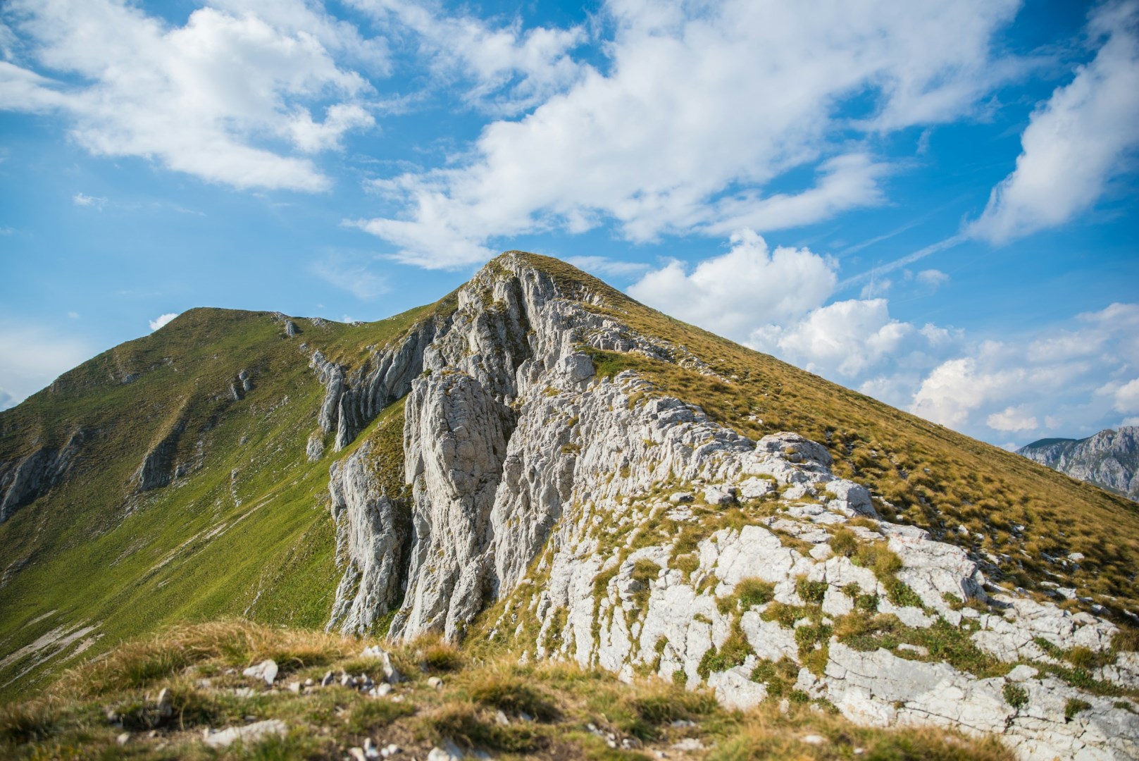  Photo Credit: Photo by Monika Guzikowska on Unsplash