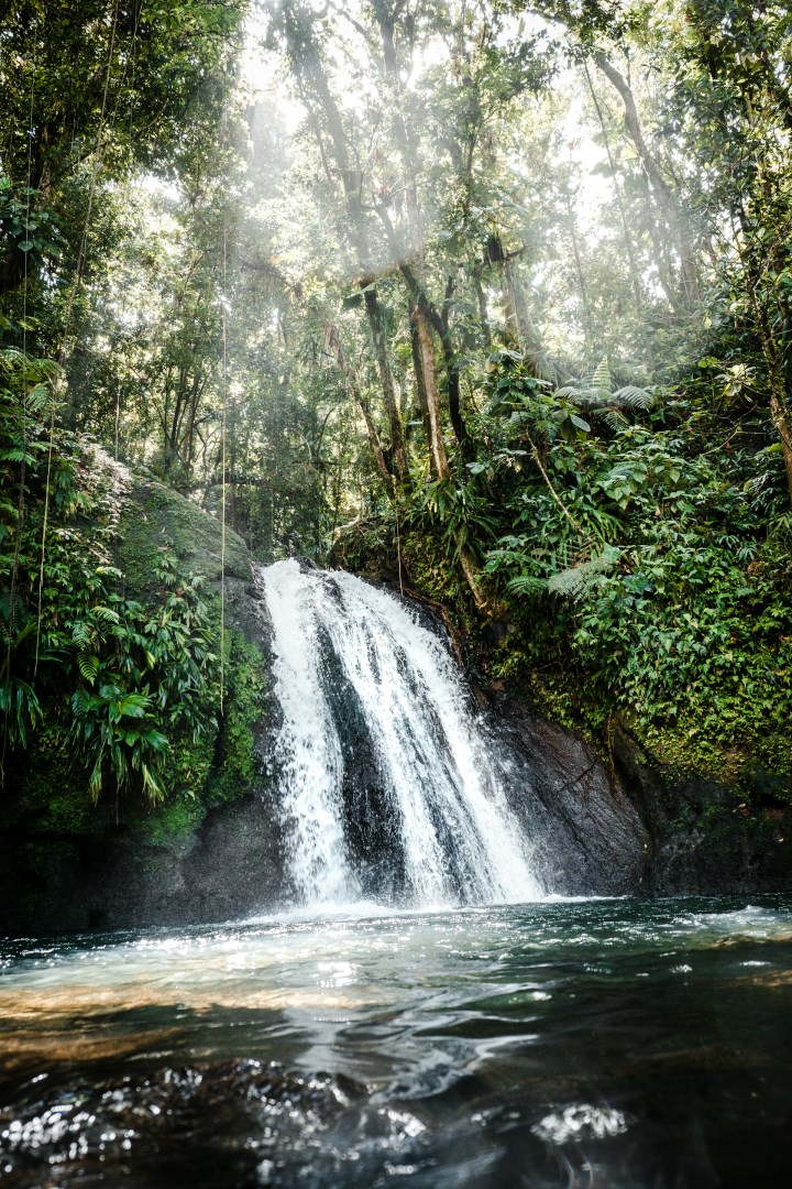  Photo Credit: Photo by Daniel Öberg on Unsplash