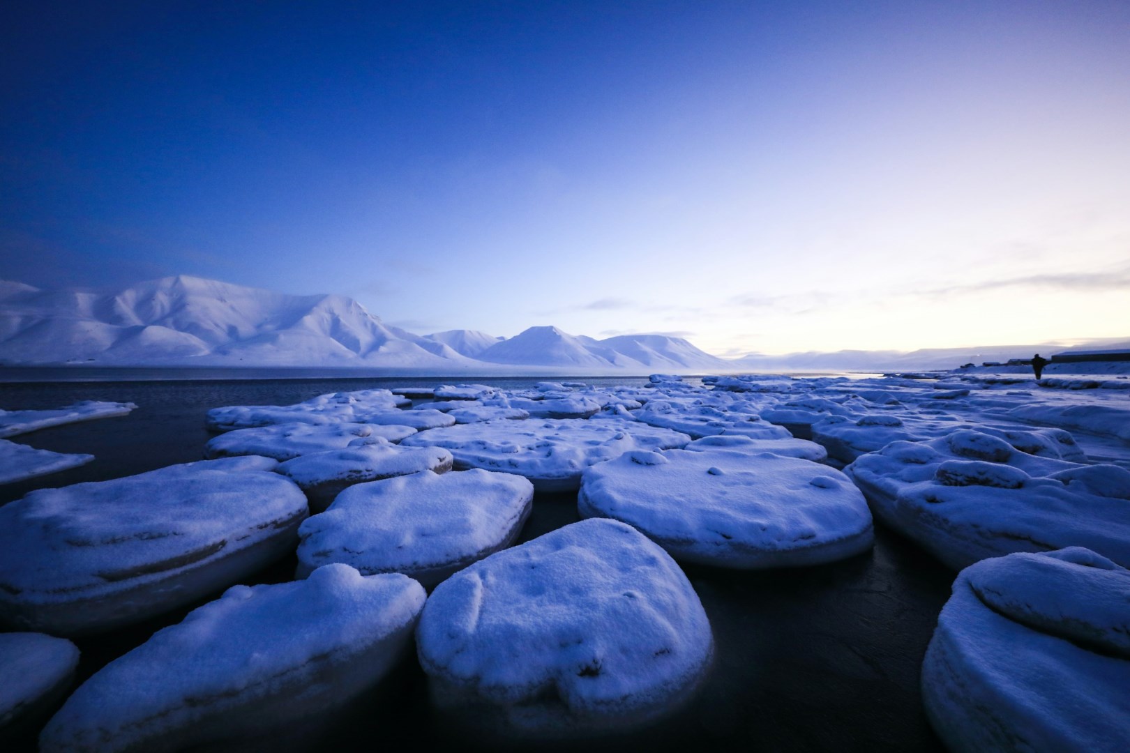  Photo Credit: Photo by Dylan Shaw on Unsplash
