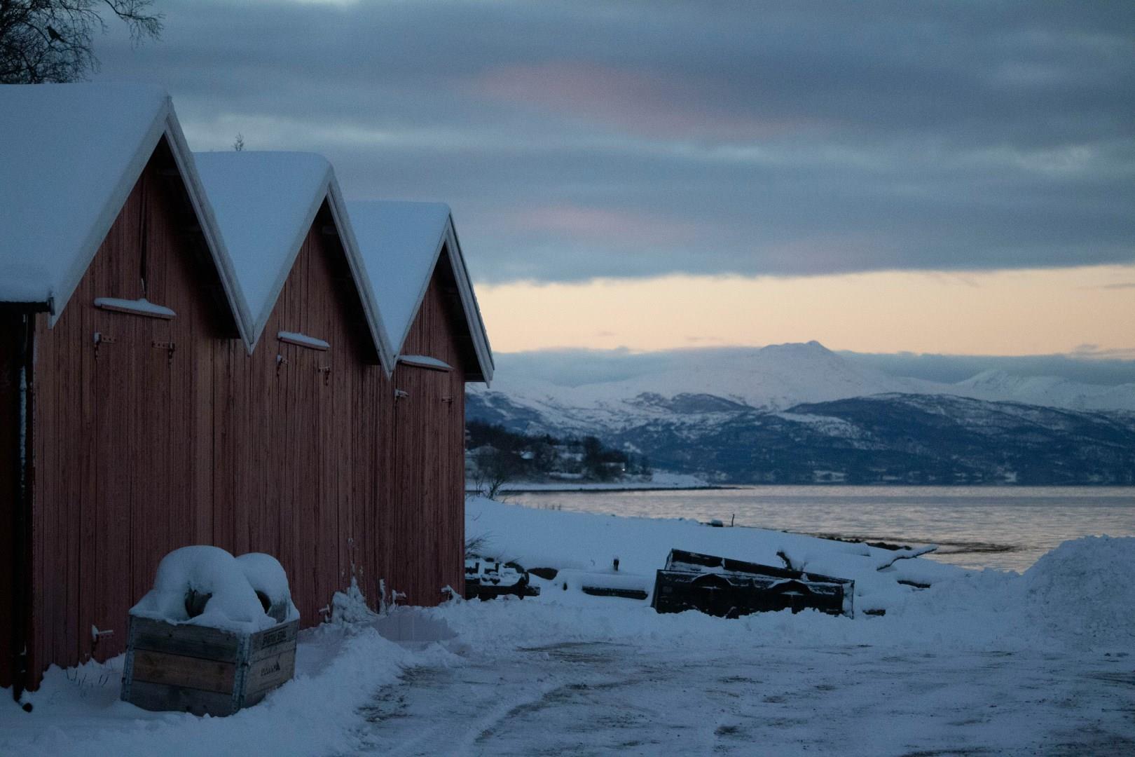 Narvik