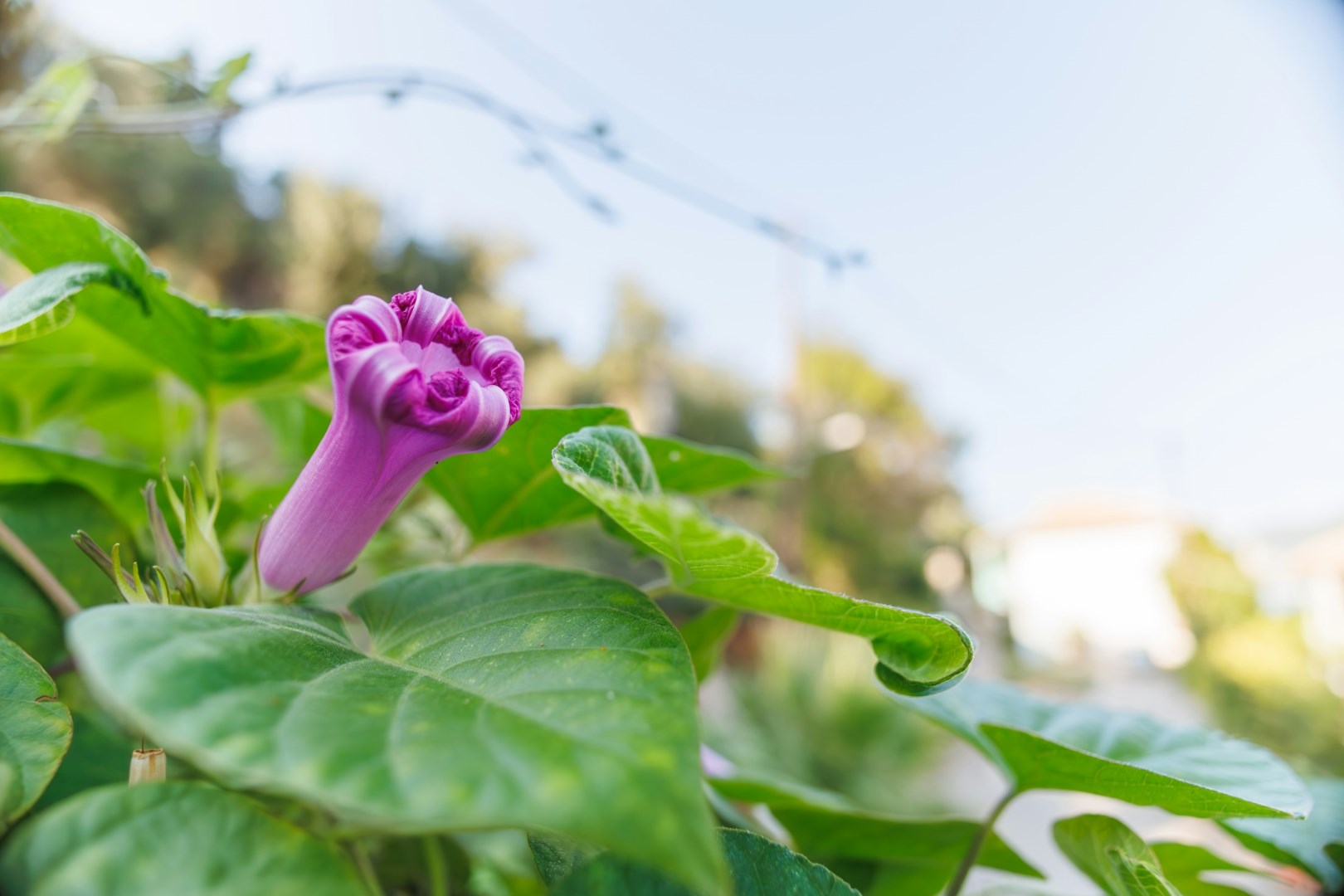  Photo Credit: Photo by Stock Birken on Unsplash