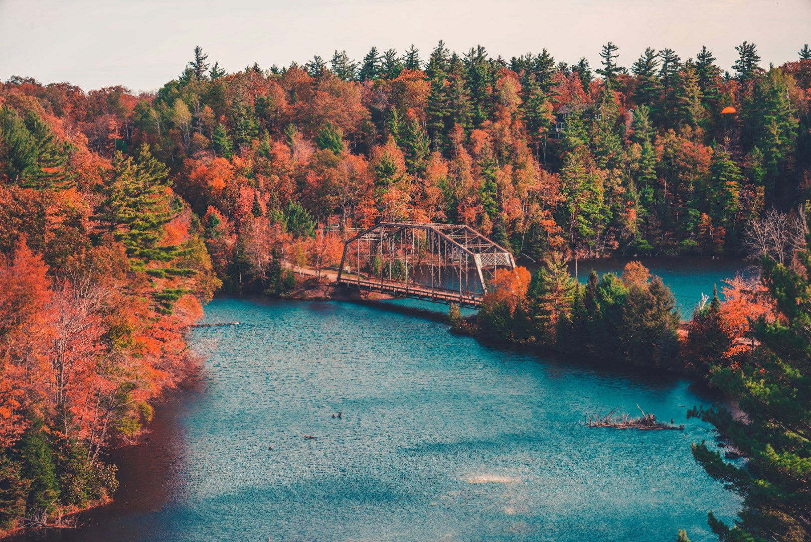  Photo Credit: Photo by Max Bender on Unsplash