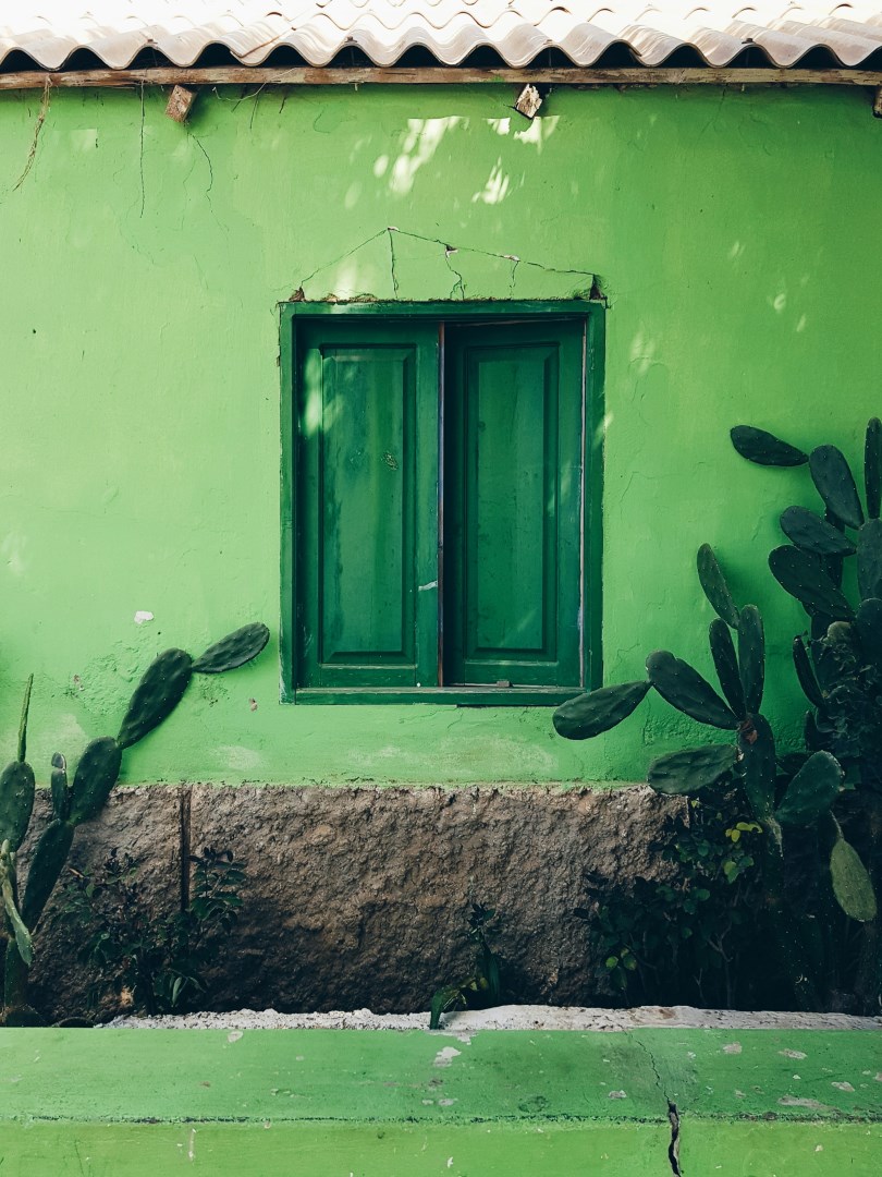  Photo Credit: Photo by Martin Widenka on Unsplash