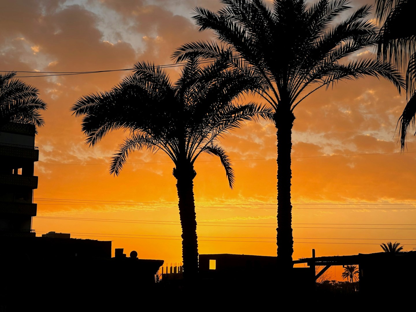  Photo Credit: Photo by Mohamed on Unsplash