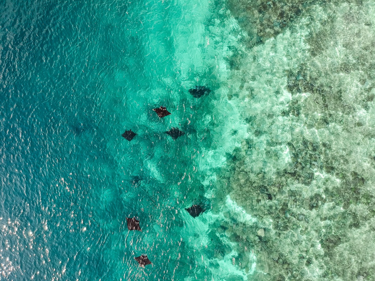  Photo Credit: Photo by Aruka Death on Unsplash