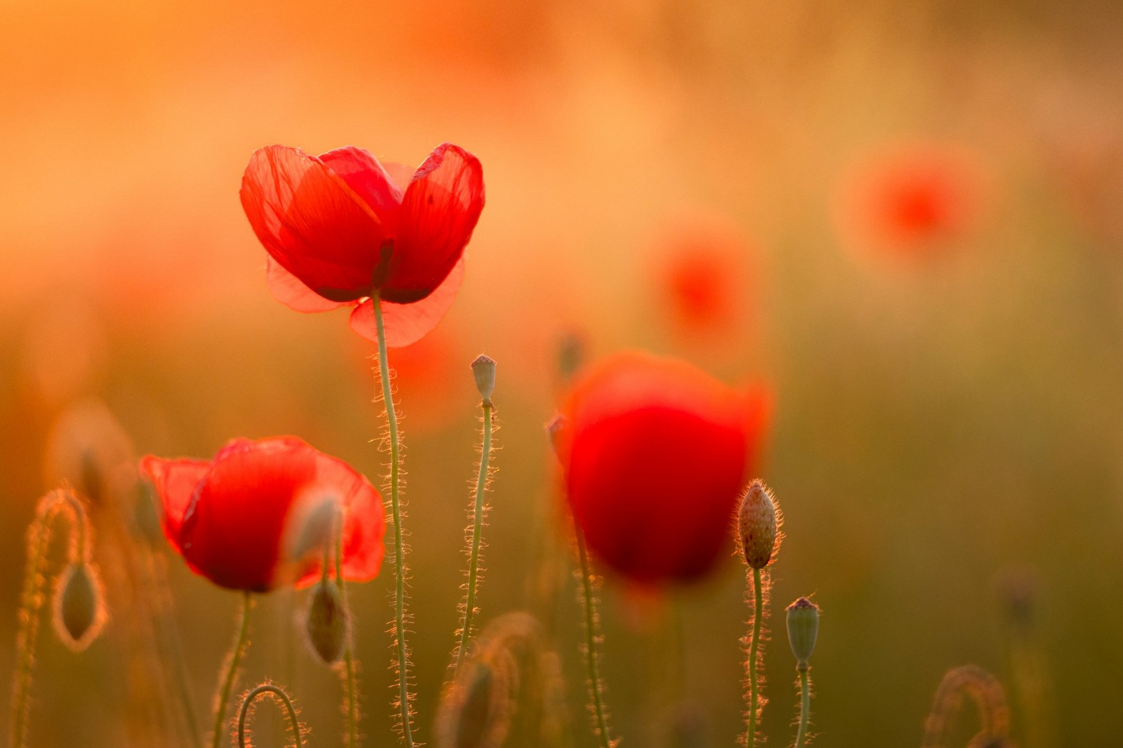  Photo Credit: Photo by Dejan Zakic on Unsplash