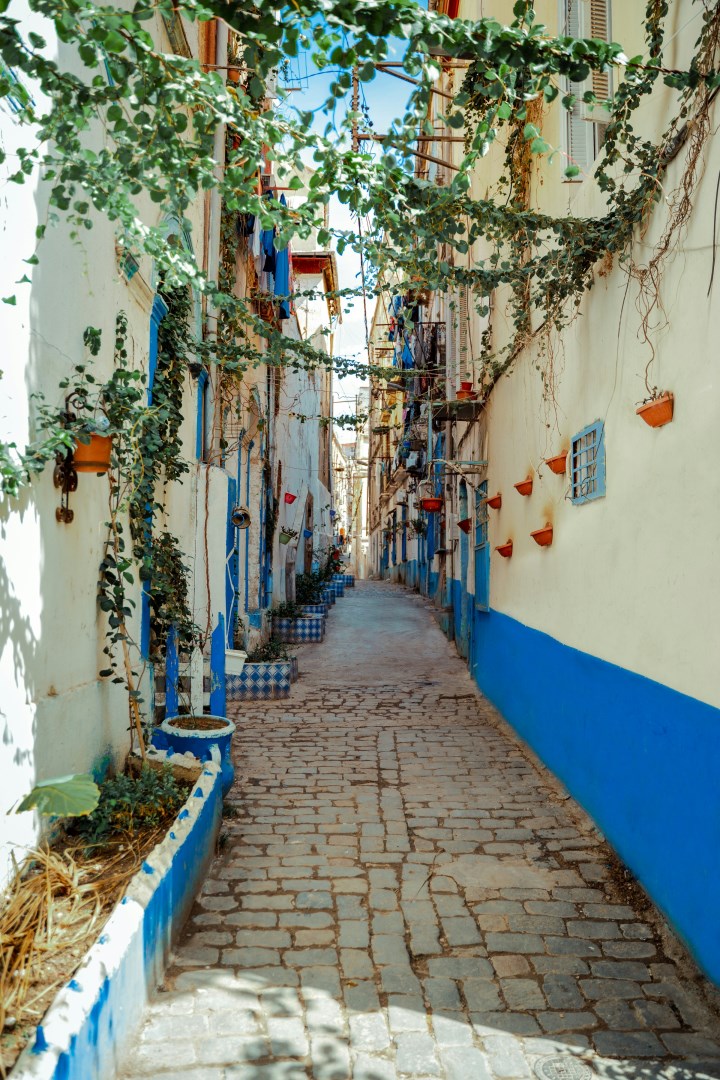 Place D'arme - Photo Credit: Photo by radwan menzer on Unsplash