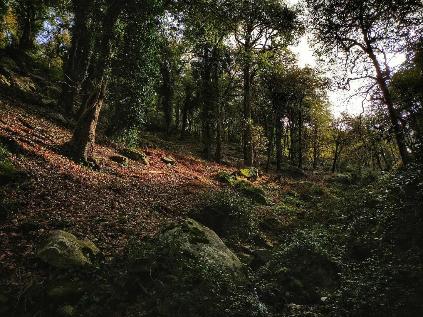  Photo Credit: Photo by Halisse Abd Eldjalil on Unsplash